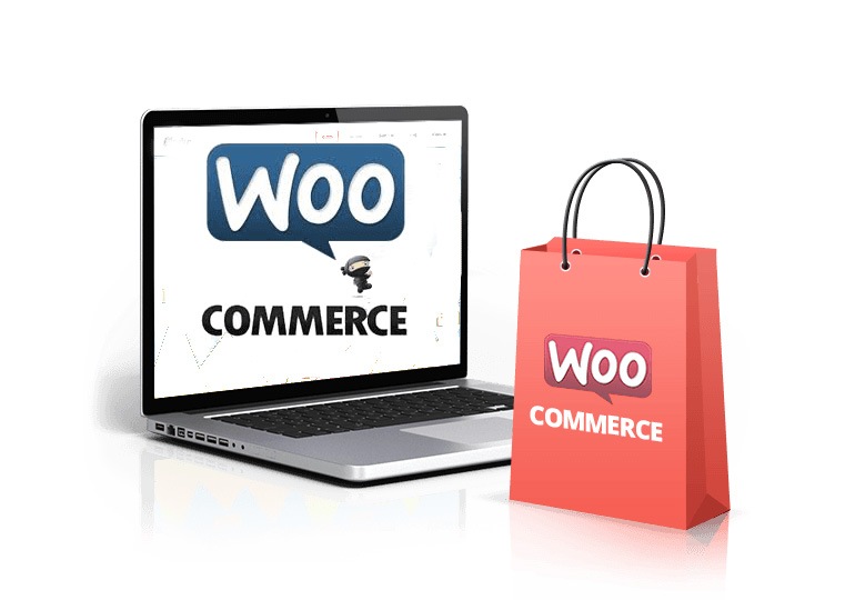  WooCommerce Ecommerce website & Development Company 